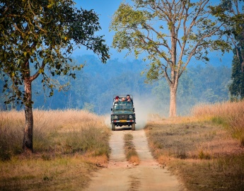 Jaipur Tour